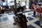 2019 Harley Davidson Fatboy S